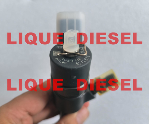 Chine Injecteur commun 0445110560 de rail de BOSCH 0445110560 0 445 110 560 0445 110 560 fournisseur