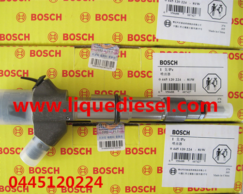 Chine Injecteur commun 0445120224,0445120170 de rail de BOSCH pour WEICHAI WP10 612600080618 fournisseur