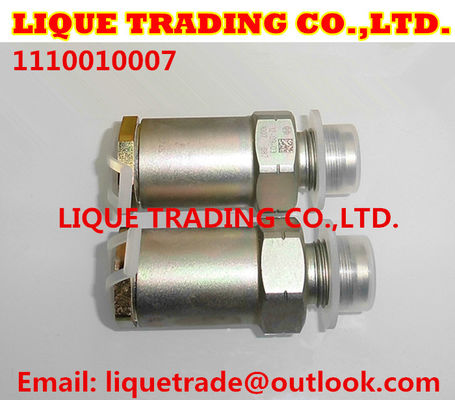 LA CHINE Valve 1110010007/1 110 010 007 de décompression de BOSCH pour la pièce de moteur d'ÎLE 3963808 fournisseur