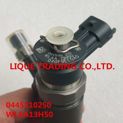 Chine INJECTEUR 0445110250, 0 445 110 250, WLAA-13H50, WLAA13H50, WLAA 13H50 de BOSCH fournisseur