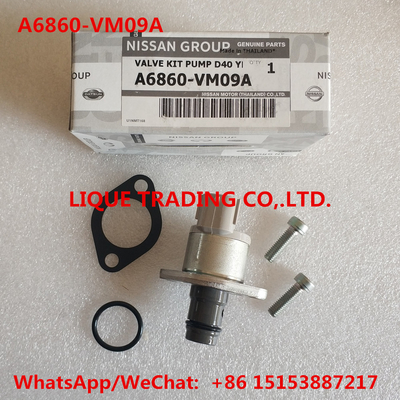 Chine Kits A6860-VM09A, A6860VM09A, A6860 VM09A de révision   incluez la valve 294200-0360 fournisseur