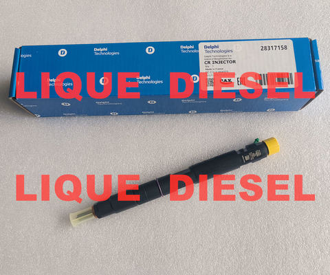 LA CHINE DELPHI Injecteur commun 28317158 32006881 320-06881 320 06881 320/06881 fournisseur
