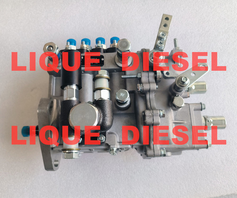 LA CHINE Pompes à carburant BH4Q90L8 fournisseur