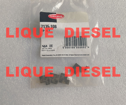 LA CHINE DELPHI lames de pompe à transfert 7135-108 7135108 7135 108 TP KIT fournisseur
