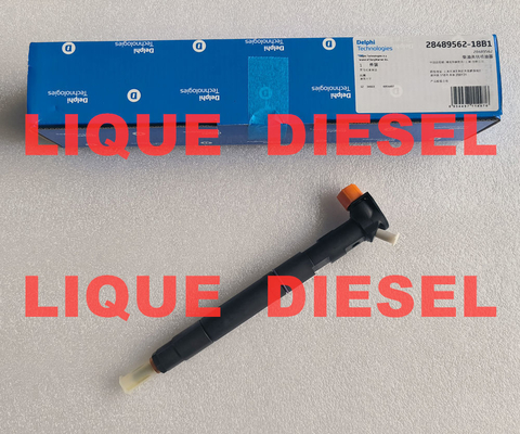 LA CHINE DELPHI injecteur de carburant 28489562 25195088 28264952 25183185 injecteur de carburant commun fournisseur