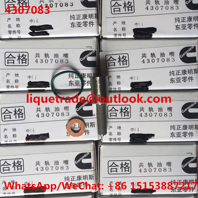 Chine Bec 4307083, P5461846FSW, 5406060 de CUMMINS originaux et tous neufs fournisseur