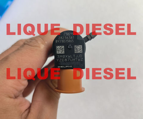 LA CHINE Injecteur DELPHI Common rail 28236381 33800-4A700 338004A700 pour HYUNDAI Starex 33800 4A700 fournisseur