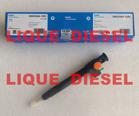LA CHINE DELPHI Injecteur à rail commun 28602948 9674984080 28388960 28319895 D57Q-9F-893-BB D57Q9F893BB fournisseur