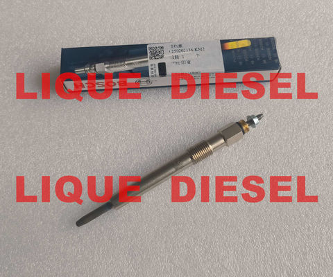 LA CHINE BOSCH Glow plug 0250202136 3770100-E06 0 250 202 136 3770100E06  for Great Wall 2.8TC fournisseur