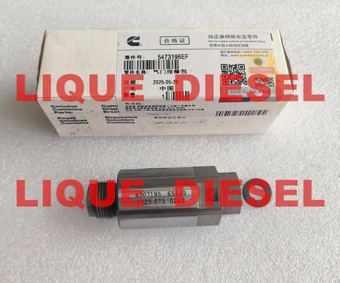 LA CHINE Ventilateur de limite du rail commun 5473196 4954245 4383889 4307195 fournisseur