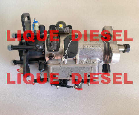 LA CHINE Véritable pompe à carburant 3062F075 3062F074 3062F073 3062F072 3062F071 3062F070 3062F07 # fournisseur