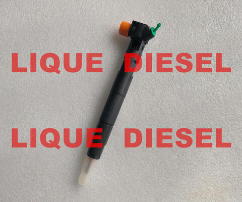 LA CHINE Injecteur de rail commun 28272472 A6510702387 6510702387 fournisseur