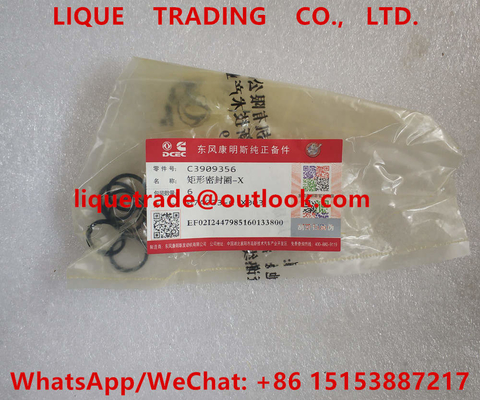 Chine garniture DCEC 3909356, joints 3909356 d'injecteur de cummins de l'injecteur C3909356 fournisseur