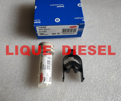 Chine Bec d'injecteur de DELPHI Fuel et kit 7135-623 de valve pour R05501D, EJBR05501D, 33800-4X450, 33801-4X450 fournisseur