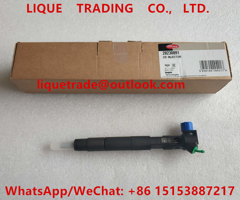 Chine DELPHI Fuel Injector 28230891, A6510701387, INJECTEUR commun du rail 6510701387 fournisseur