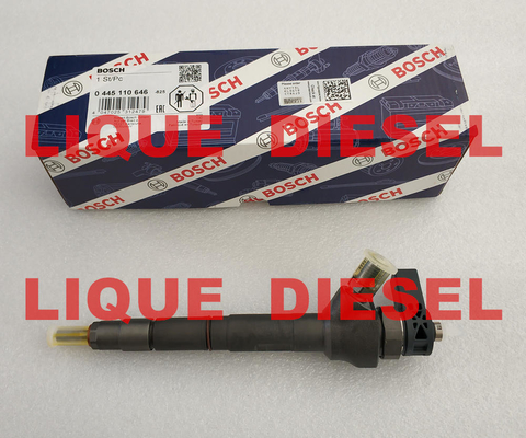 Chine Injecteur commun 0445110646 de rail de BOSCH 0445110369 0445110647 0 445 110 646 0445110 646 fournisseur