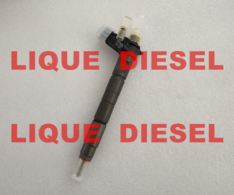 Chine Injecteur de carburant 0445116041 35062005F 0 de BOSCH 445 116 041 350 620 05F 0445116 041 fournisseur