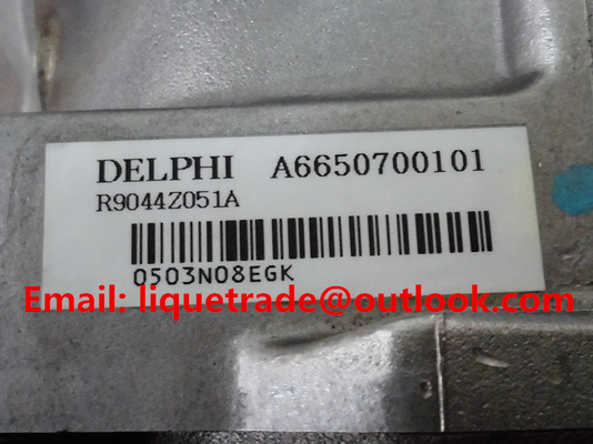 DELPHES pompe commune véritable et nouvelle de 100% de rail R9044Z051A/R9044Z162A pour SSANGYONG A6650700401, A6650700101 fournisseur