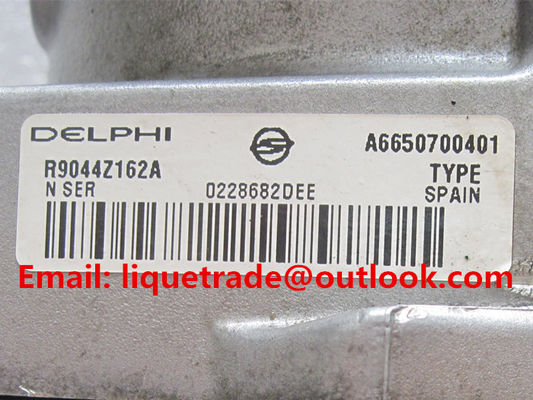 DELPHES pompe commune véritable et nouvelle de 100% de rail R9044Z051A/R9044Z162A pour SSANGYONG A6650700401, A6650700101 fournisseur