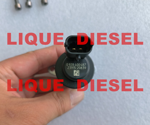 Valve 1 du régulateur 1465ZS0041 0928400487 de pompe d'unité de BOSCH ZME/Metering 465 ZS0 041 0 928 400 487 fournisseur