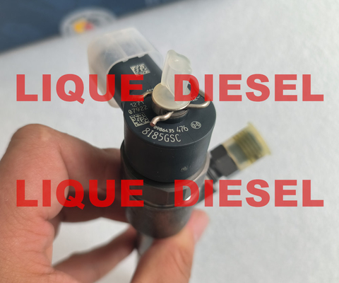 Injecteur commun 0445110454 de rail de BOSCH 0 445 110 454 0445 110 454 injecteurs de carburant 445110454 fournisseur