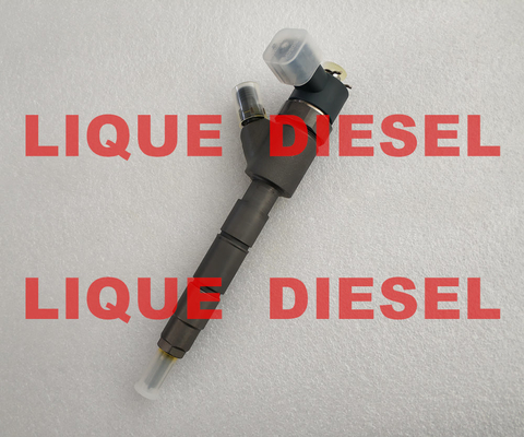 Injecteur commun 445110603 32R61-10010 0 de rail de BOSCH 0445110603 445 110 603 32R6110010 32R61 10010 fournisseur