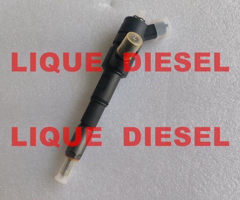 Injecteur de carburant commun 0445110560 de rail de BOSCH 0 445 110 560 0445 110 560 fournisseur