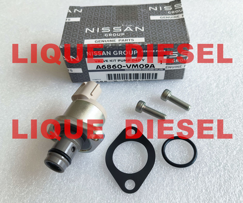 Les kits de révision A6860-VM09A A6860VM09A A6860 VM09A comprennent la vanne 294200-0360 fournisseur