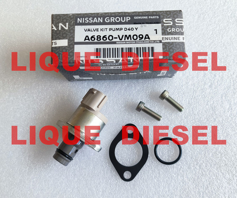 Les kits de révision A6860-VM09A A6860VM09A A6860 VM09A comprennent la vanne 294200-0360 fournisseur