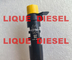 Injecteur DELPHES EMBR00101D EMBR00101DP R00101D R00101DP pour Citroen Peugeot 1980L3 FIAT 9686191080 fournisseur