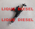 Injecteur de carburant d'ISUZU 8-98219181-0 injecteur de 8982191810 98219181 DENSO 095000-9800   0950009800 fournisseur