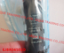 Injecteur commun original de rail d'EJBR04501D DELPHES EJBR04501D/R04501D pour SSANGYONG A6640170121,6640170121 fournisseur