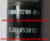 Injecteur commun original EJBR05301D de rail d'EJBR05301D pour YUCHAI F50001112100011 fournisseur