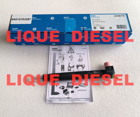 DELPHI Injecteur de carburant 28308779 A6510703287 6510703287 injecteur commun rail fournisseur