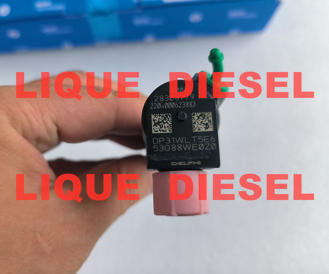 DELPHI Injecteur de carburant 28308779 A6510703287 6510703287 injecteur commun rail fournisseur
