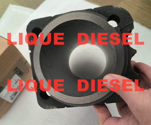 DEUTZ Liner 0423-8667 04238667 0423 8667 423-8667 4238667 423 8667 Le produit est fabriqué à l'aide d'un procédé de fabrication de la ligne DEUTZ. fournisseur