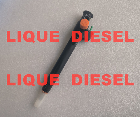 DELPHI Injecteur commun rail 28602948 9674984080 28388960 D57Q-9F-893-BB D57Q9F893BB fournisseur