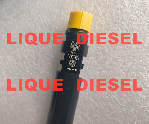 DELPHI Injecteur commun 28317158 32006881 320-06881 320 06881 320/06881 fournisseur