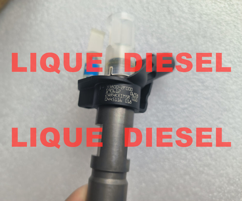 Injecteur à piézo BOSCH 0445116017 0445116018 0 445 116 017 0 445 116 018 33800-2F000 338002F000 fournisseur