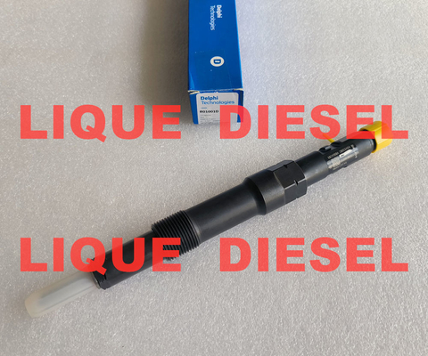 L'injecteur de carburant R00401Z R01001D EJDR00401Z EJDR01001D fournisseur