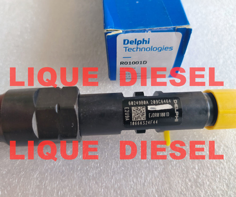 L'injecteur de carburant R00401Z R01001D EJDR00401Z EJDR01001D fournisseur