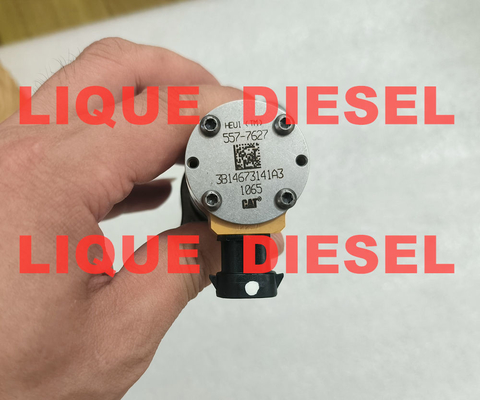 Injecteur CAT 557-7627 5577627 387-9427 3879427 10R-7225 10R7225 pour les excavateurs CAT 324D, 325D, 326D, 328D, 329D fournisseur