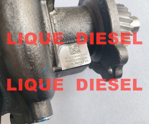 La pompe à eau Cummins 4299030 4299030X P4299030 fournisseur