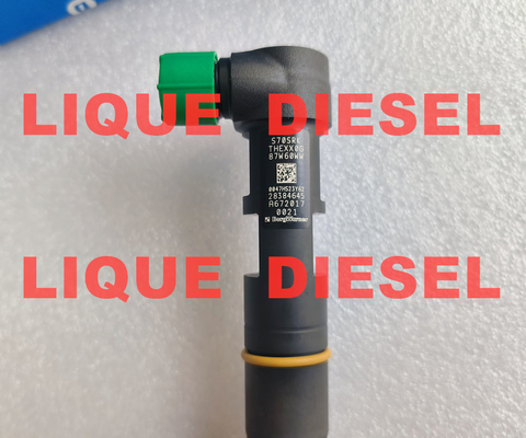 L'injecteur de carburant DELPHI 28384645 A6720170021 6720170021 pour SSANGYONG D22 EURO 6 fournisseur
