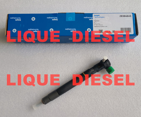 L'injecteur de carburant DELPHI 28384645 A6720170021 6720170021 pour SSANGYONG D22 EURO 6 fournisseur