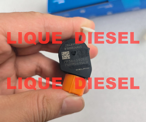 DELPHI injecteur de carburant 28489562 25195088 28264952 25183185 injecteur de carburant commun fournisseur