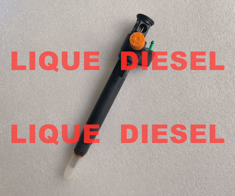 DELPHI Injecteur commun rail 28602948 9674984080 28388960 D57Q-9F-893-BB D57Q9F893BB fournisseur