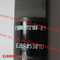 Injecteur commun original EJBR05301D de rail d'EJBR05301D pour YUCHAI F50001112100011 fournisseur