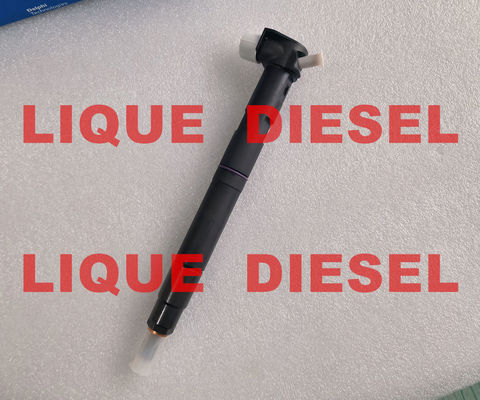 Injecteur de carburant DELPHI 28489548 25195089 = 28264951 25183186 100% authentique et neuf. fournisseur