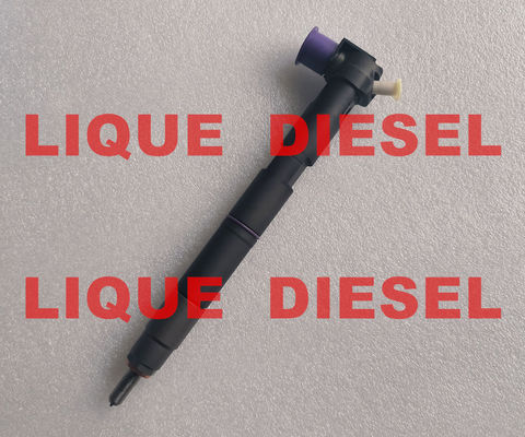 Injecteur DELPHI commun rail 28581266 33800-2A150 338002A150 33800 2A150 fournisseur
